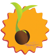 Revitaled Reintegration Services